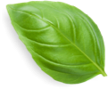 basil-left