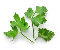 parsley