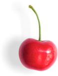 cherry